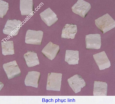 H&igrave;nh ảnh bạch phục linh