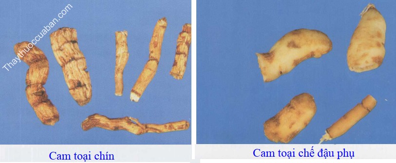 H&igrave;nh ảnh vị thuốc cam toại chế