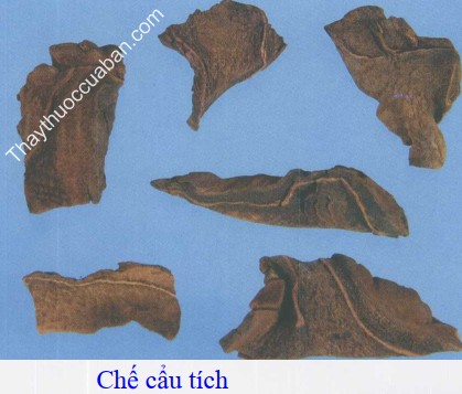 H&igrave;nh ảnh cấu t&iacute;ch chế