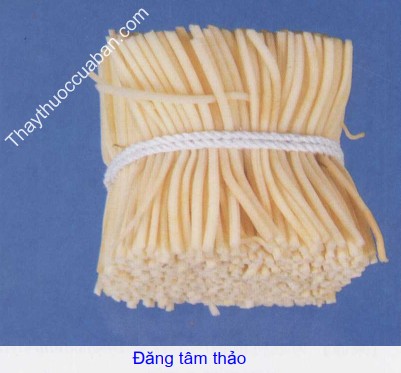 H&igrave;nh ảnh đăng t&acirc;m thảo