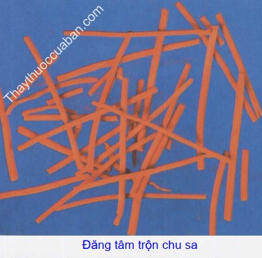 H&igrave;nh ảnh đăng t&acirc;m trộn chu sa