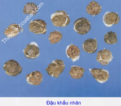 H&igrave;nh ảnh đậu khấu nh&acirc;n