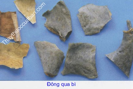 H&igrave;nh ảnh vị thuốc đ&ocirc;ng qua b&igrave;