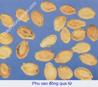 H&Igrave;nh ảnh phu sao đ&ocirc;ng qua tử