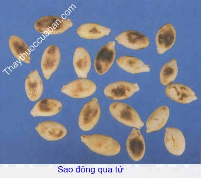 H&igrave;nh ảnh đ&ocirc;ng qua tử sao