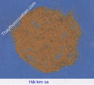 H&igrave;nh ảnh vị thuốc hải kim sa