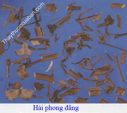 H&igrave;nh ảnh vị thuốc hải phong đằng