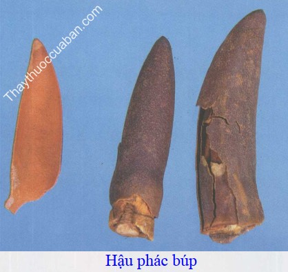 H&igrave;nh ảnh Hậu ph&aacute;c b&uacute;p