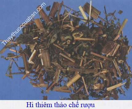H&igrave;nh ảnh hi thi&ecirc;m thảo chế rượu