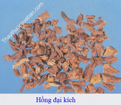H&igrave;nh ảnh vị thuốc hồng đại k&iacute;ch