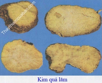 H&igrave;nh ảnh vị thuốc kim quả l&atilde;m