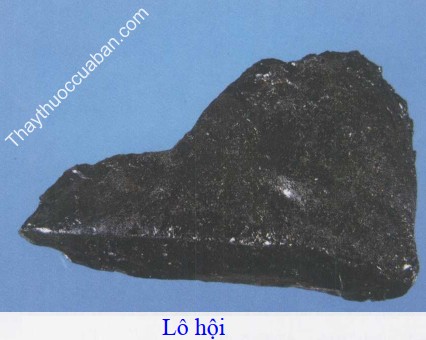 H&igrave;nh ảnh l&ocirc; hội