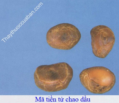 H&igrave;nh ảnh m&atilde; tiền tử chao dầu