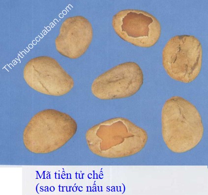 H&igrave;nh ảnh m&atilde; tiền tử chế