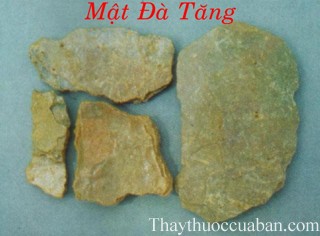 H&igrave;nh ảnh vị thuốc mật đ&agrave; tăng