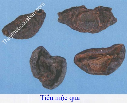 H&igrave;nh ảnh tiểu mộc qua