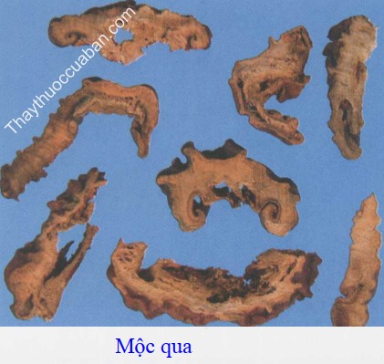 H&igrave;nh ảnh vị thuốc mộc qua
