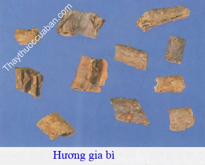 H&igrave;nh ảnh hương gia b&igrave;