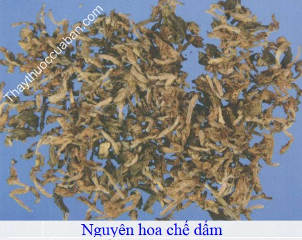 H&igrave;nh ảnh vị thuốc nguy&ecirc;n hoa chế dấm