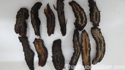 H&igrave;nh ảnh vị thuốc nhục thung dung