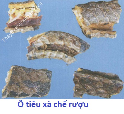 H&igrave;nh ảnh &ocirc; ti&ecirc;u x&agrave; chế rượu