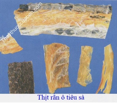 H&igrave;nh ảnh &ocirc; ti&ecirc;u x&agrave;, thịt rắn