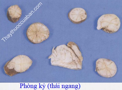 H&igrave;nh ảnh ph&ograve;ng kỷ th&aacute;i ngang