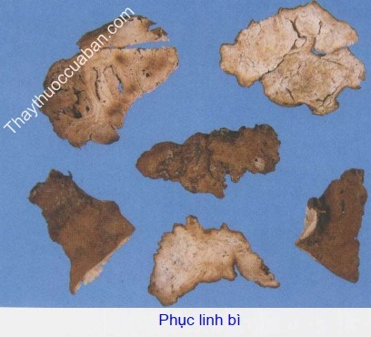 H&igrave;nh ảnh phục linh b&igrave;