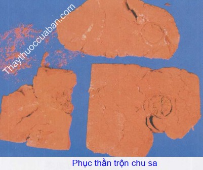 Hình ảnh phục thần trộn chu sa