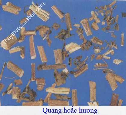 H&igrave;nh ảnh quảng hoắc hương
