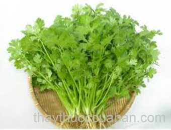 Hình ảnh rau  mùi