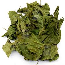 Vị thuốc Tang diệp