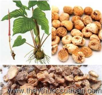 Hình ảnh Thiên nam tinh