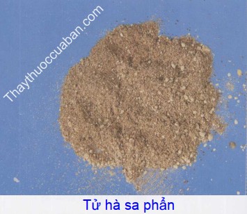H&igrave;nh ảnh vị thuốc tử h&agrave; sa phẩn