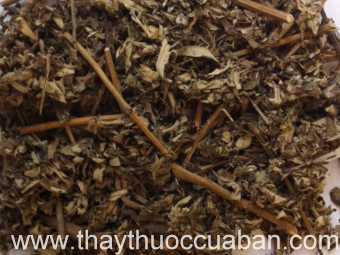 Vị thuốc ngải cứu