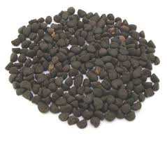 Vị thuốc khiên ngưu