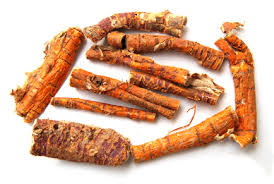 Vị thuốc tang bạch bì