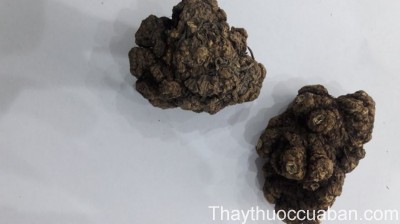Hình ảnh củ xuyên khung