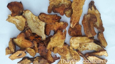 H&igrave;nh ảnh vị thuốc bạch truật