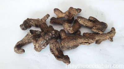 H&igrave;nh ảnh vị thuốc b&agrave;o khương