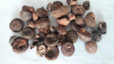 H&igrave;nh ảnh vị thuốc binh lang