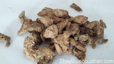 H&igrave;nh ảnh vị thuốc can khương