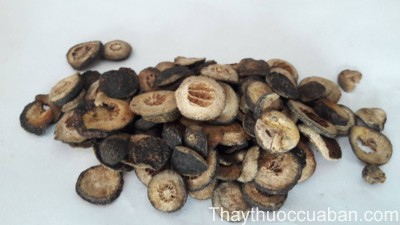 H&igrave;nh ảnh vị thuốc chỉ thực