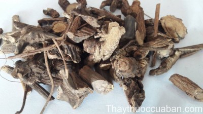 H&igrave;nh ảnh củ gai th&aacute;i, phơi kh&ocirc;