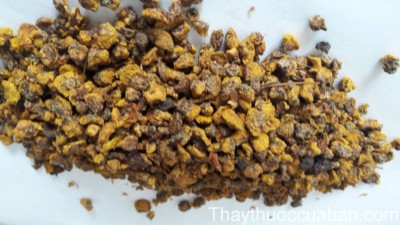H&igrave;nh ảnh vị thuốc c&uacute;c hoa