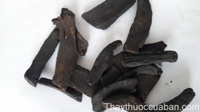 Vị thuốc đại hoàng thán (đại hoàng sao đen)