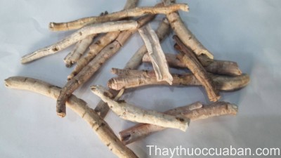 H&igrave;nh ảnh vị thuốc đan b&igrave;