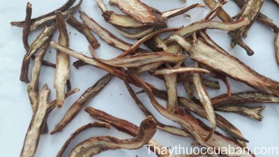 H&igrave;nh ảnh vị thuốc đan s&acirc;m