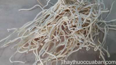 H&igrave;nh ảnh vị thuốc đăng t&acirc;m