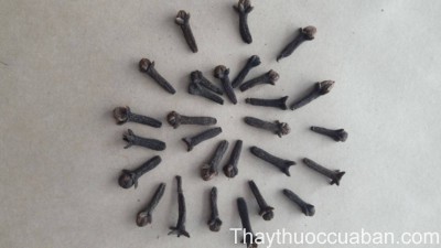 H&igrave;nh ảnh vị thuốc đinh hương